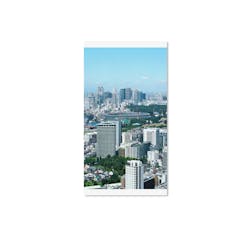 TOKYO OLYMPIA [SPECIAL PRINT EDITION] *SINGLE SIGNED PRINT ONLY
